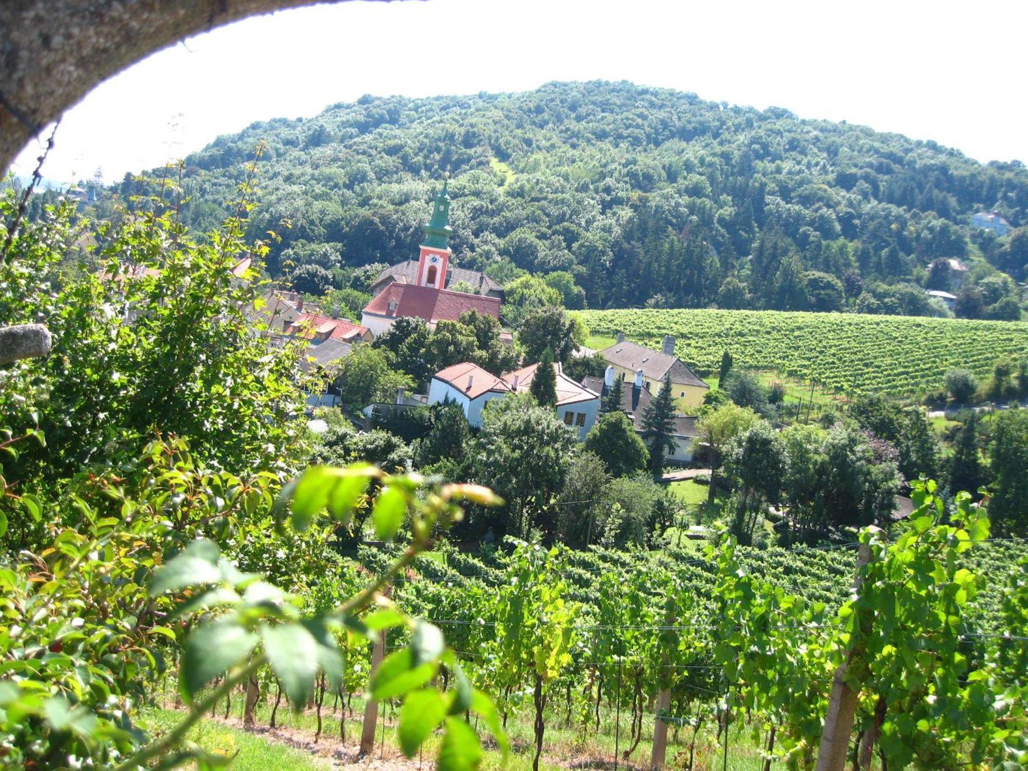 Vienna Cottage Luaran gambar